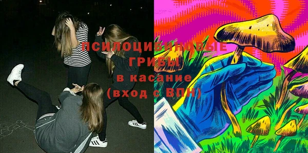 стаф Володарск