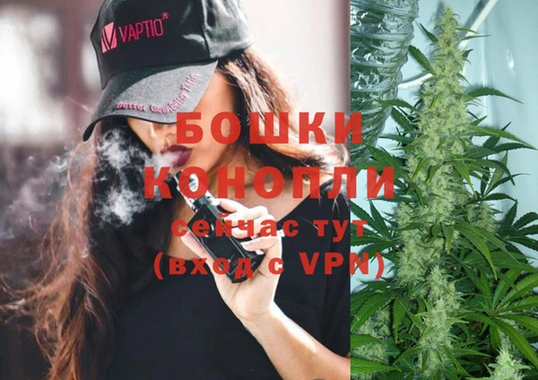 стаф Володарск