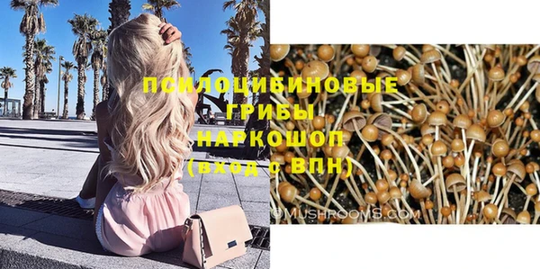 стаф Володарск