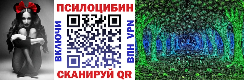 Галлюциногенные грибы Psilocybine cubensis  Верхнеуральск 